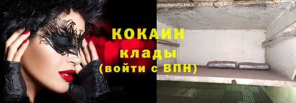 мет Снежногорск
